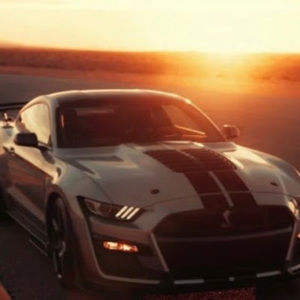 Meet your Posher, Noah